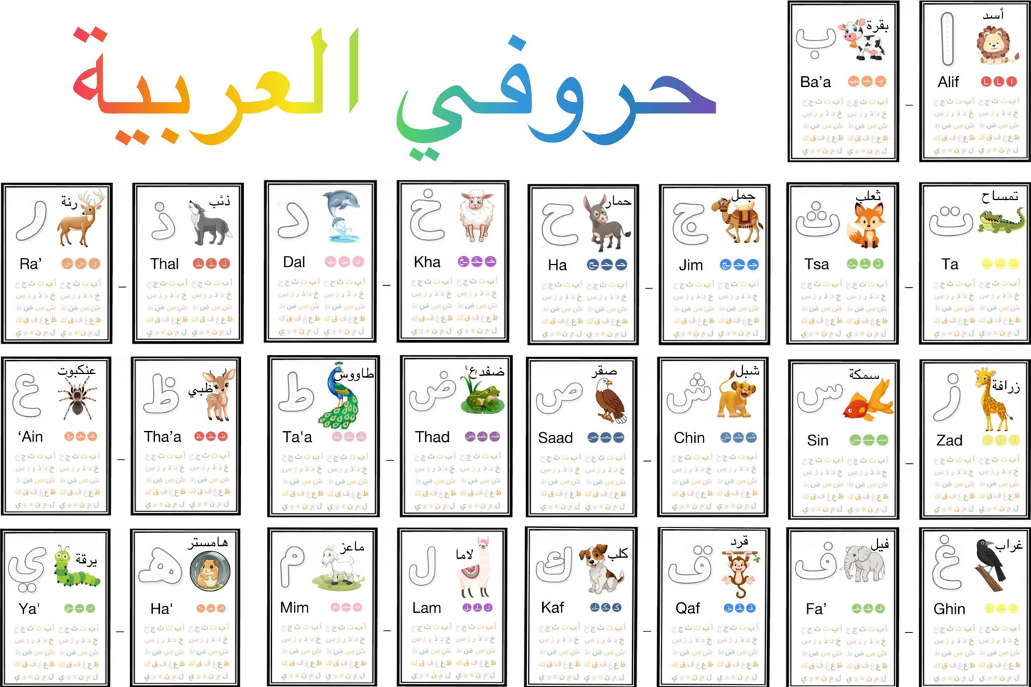 Alphabet arabe - Support d'apprentissage Montessori
